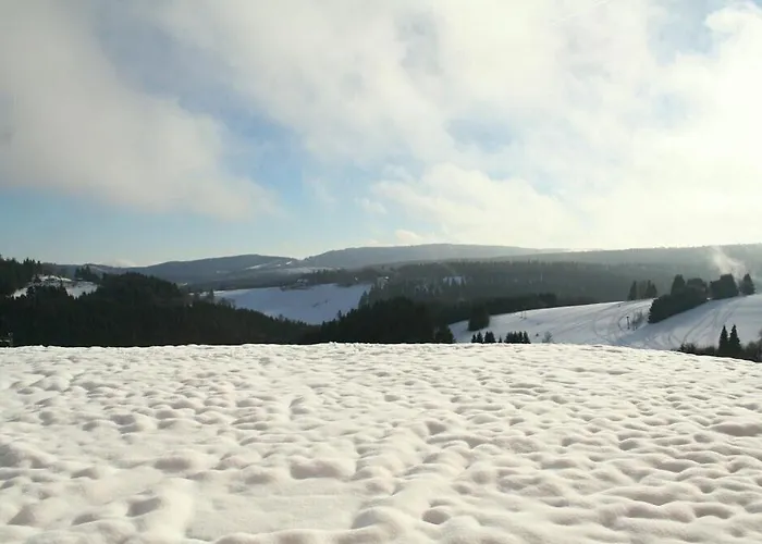 Lejlighed Am Postwiesen